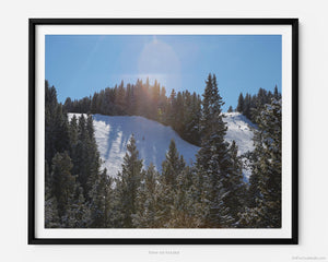 From the Wildwood Express ski lift, you take in stunning views of a skier on the Look Ma black diamond skin run. The scene is framed by blue sky and pine trees amongst the Rocky Mountains. 