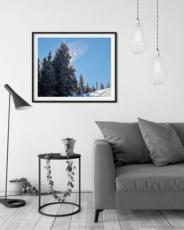 Sun Thru Colorado Pines, Vail Colorado Fine Art Photography Print