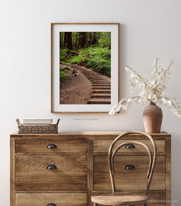 Muir Woods Hiking Trail Stairs, Marin County California Fine Art Photography Print