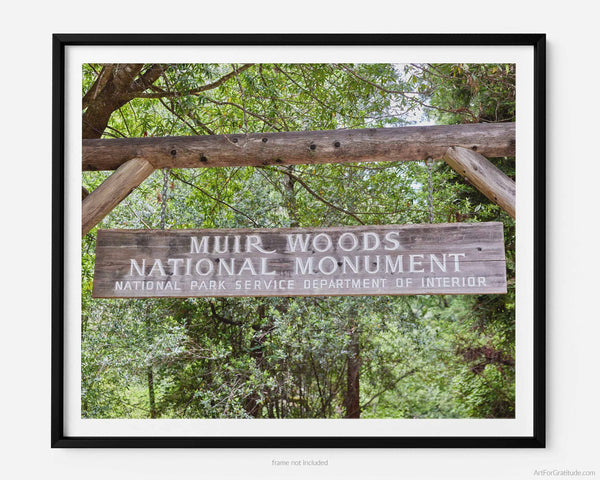 Muir Woods National Monument, Marin County California Fine Art Photography Print