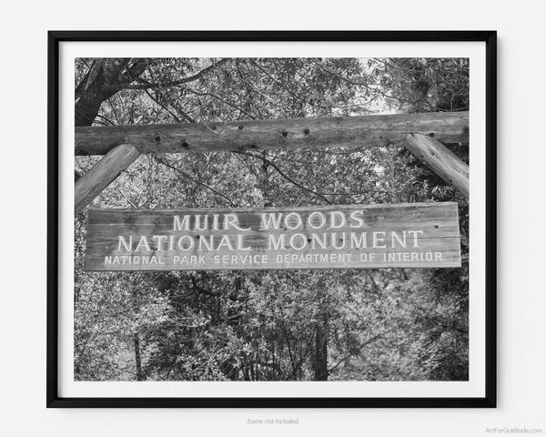 Muir Woods Trail Sign, Marin County California Black And White Fine Art Photography Print