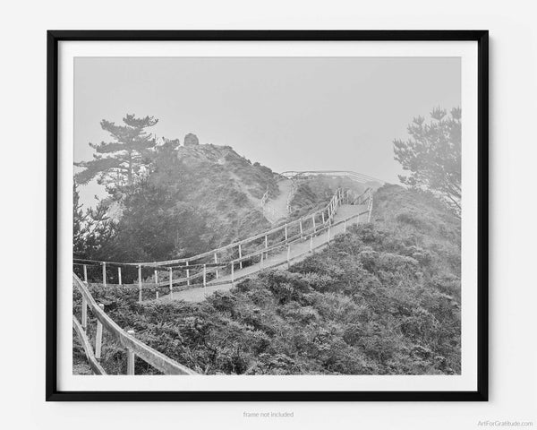 Muir Beach Overlook Trail, Marin County California Black And White Fine Art Photography Print
