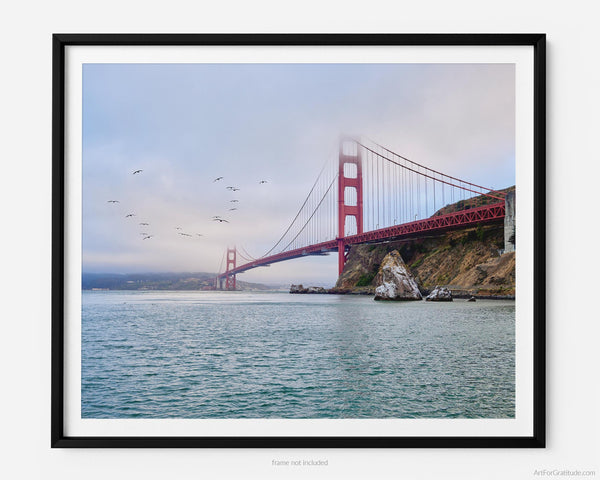 Seagulls Fly By Golden Gate Bridge, San Francisco California Fine Art Photography Print