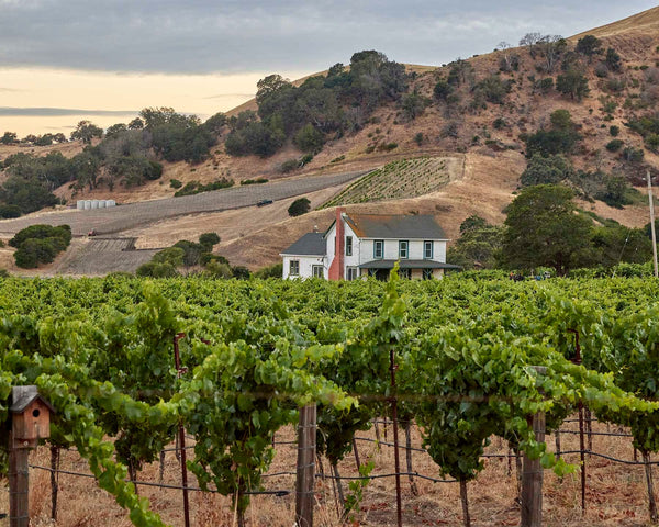 Vineyard And White Farmhouse, Napa Valley Fine Art Photography Print