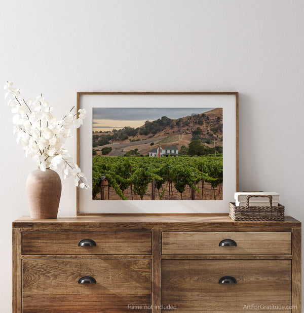 Vineyard And White Farmhouse, Napa Valley Fine Art Photography Print