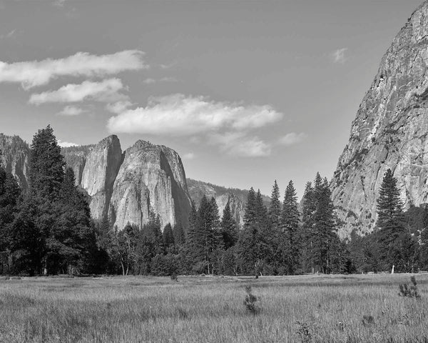 Cathedral Rocks Over Cook's Meadow, Yosemite Black & White Fine Art Photography Print