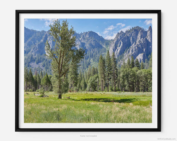 Cathedral Spires Over Meadow, Yosemite Fine Art Photography Print