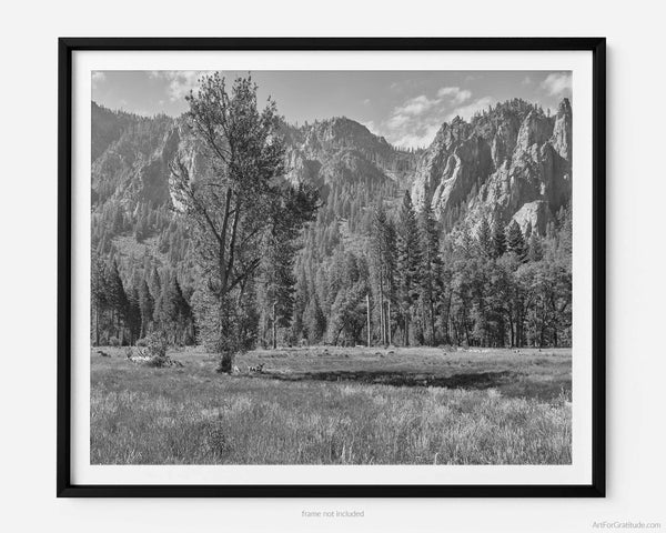 Cathedral Spires Over Meadow, Yosemite Black And White Fine Art Photography Print