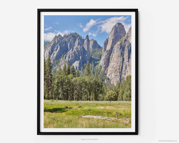 Cathedral Spires & Cathedral Rock Over Meadow, Yosemite Fine Art Photography Print