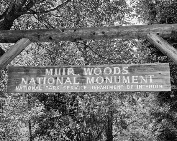 Muir Woods Trail Sign, Marin County California Black And White Fine Art Photography Print