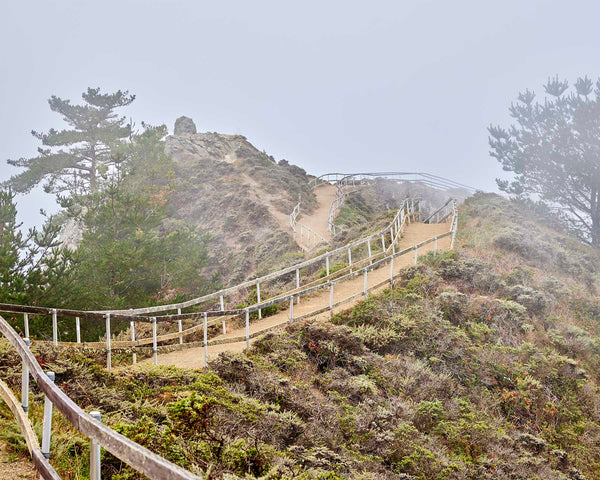 Muir Beach Overlook Trail, Marin County California Fine Art Photography Print