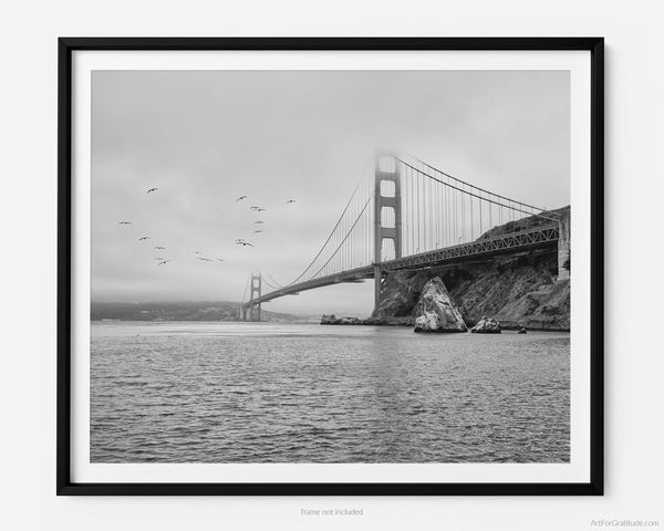 Seagulls Fly By Golden Gate Bridge, San Francisco California Black And White Fine Art Photography Print