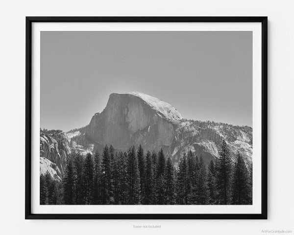 Half Dome Over Pines, Yosemite Black And White Fine Art Photography Print