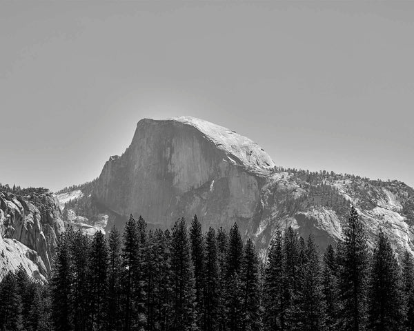Half Dome Over Pines, Yosemite Black And White Fine Art Photography Print