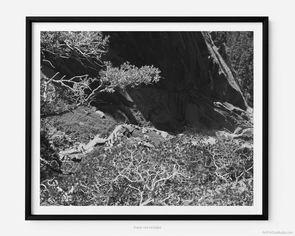 The Mist Trail From Top Of Vernal Falls, Yosemite Black & White Fine Art Photography Print