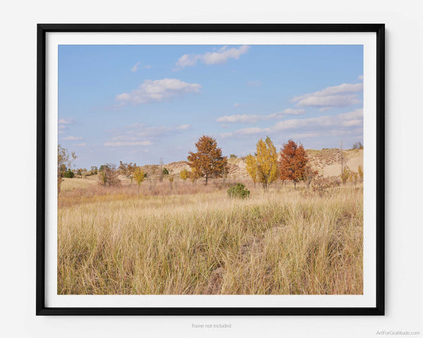Oval Beach & Mount Baldhead Trail in Fall, Saugatuck Michigan Fine Art Photography Print