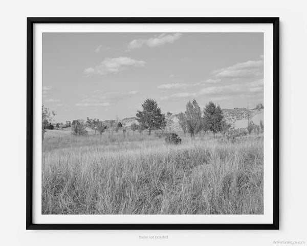 Oval Beach & Mount Baldhead Trail In Fall, Saugatuck Michigan Black And White Fine Art Photography Print
