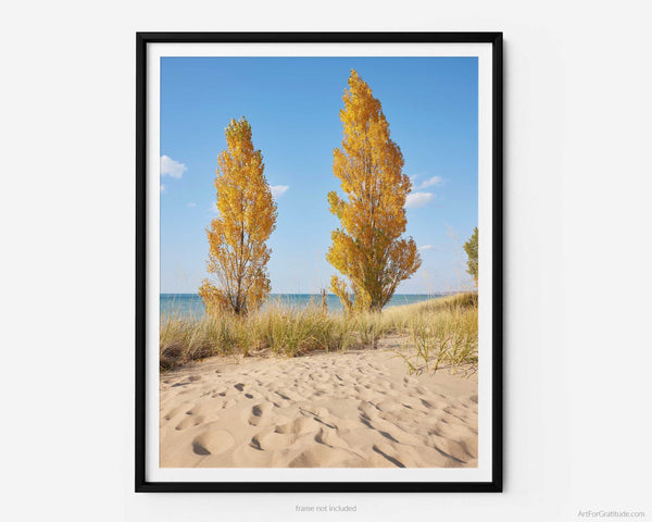 Fall At Oval Beach, Saugatuck Michigan Fine Art Photography Print