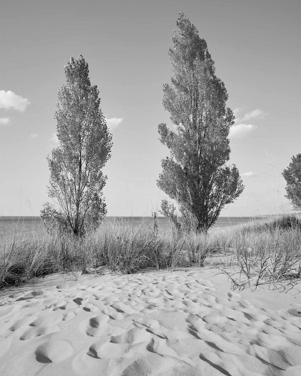 Fall At Oval Beach, Saugatuck Michigan Black And White Fine Art Photography Print