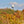 Load image into Gallery viewer, Mount Baldhead Radar Tower In Fall, Saugatuck Michigan Fine Art Photography Print
