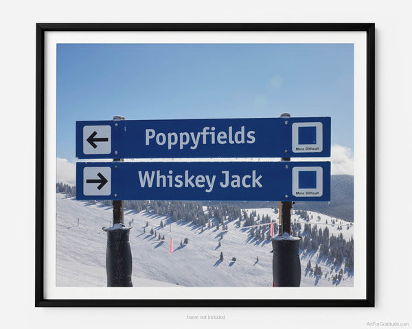Poppyfields & Whiskey Jack Ski Run Signs, Vail Colorado Fine Art Photography Print