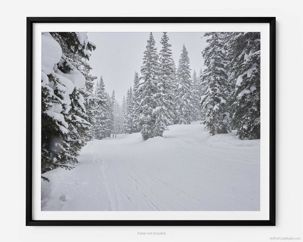 Timberline Catwalk Trail At Vail Ski Resort, Vail Colorado Fine Art Photography Print