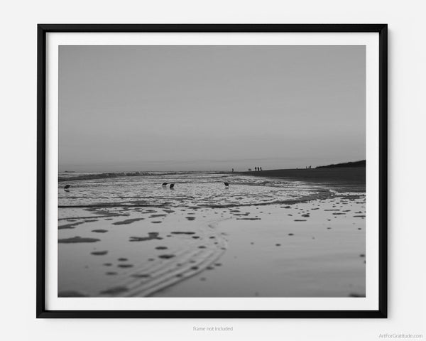 Calm Ocean Sunset at Palmetto Dunes, Hilton Head Island Black And White Fine Art Photography Print
