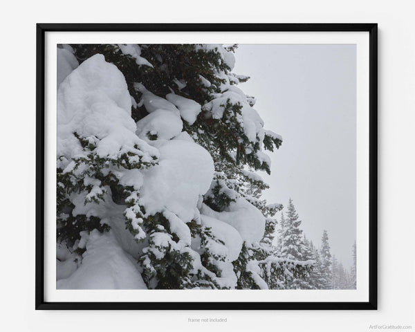 Fresh Powder Snow In Vail, Vail Colorado Fine Art Photography Print