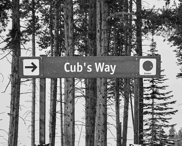 Cub's Way Trail Sign At Vail Ski Resort, Vail Colorado Fine Art Photography Print