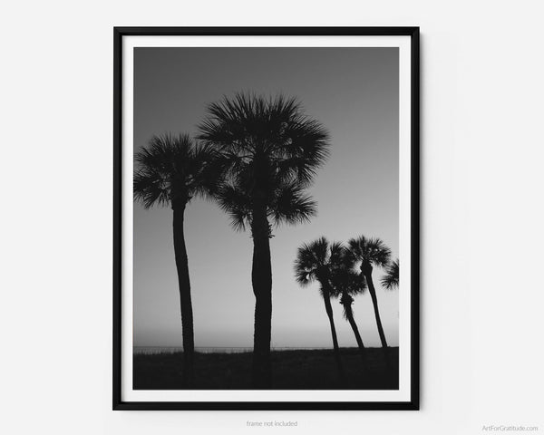 Palmetto Dunes Palmetto Trees At Sunset, Hilton Head Island Black And White Fine Art Photography Print