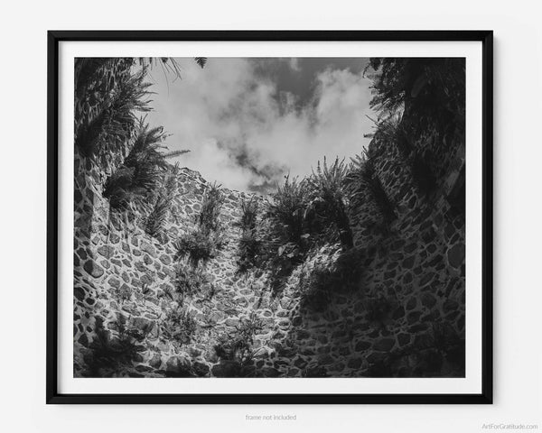 Sugar Mill Plantation Ruins In Jungle, St. John USVI Black And White Fine Art Photography Print