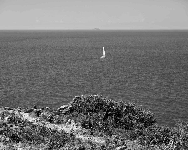 Lone Sailboat On Caribbean Ocean Off Ram Head Peak, St. John USVI Black And White Fine Art Photography Print