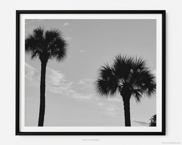 Palmetto Tree Silhouette At Sunset, Hilton Head Island Black And White Fine Art Photography Print, Art For Gratitude