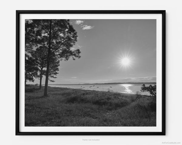 South Beach At Sunset In Sea Pines, Hilton Head Island Black And White Fine Art Photography Print, Art For Gratitude