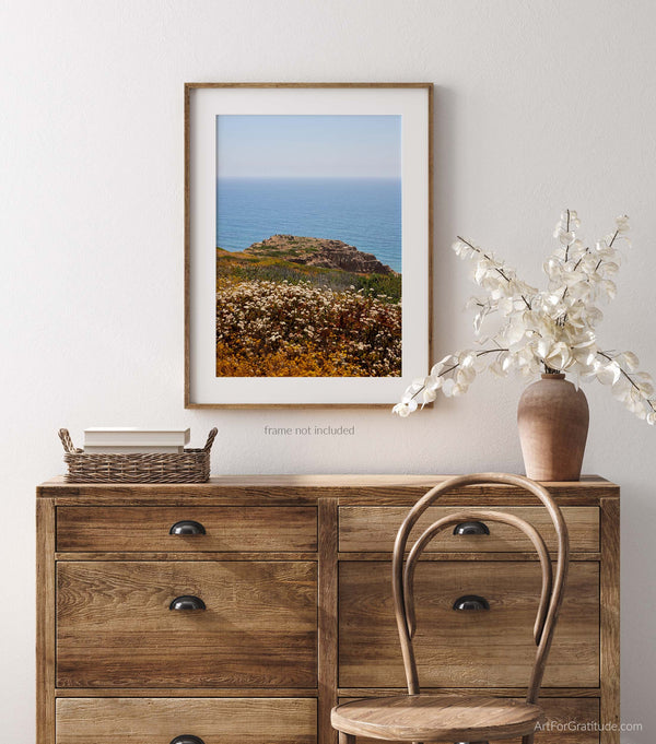 View Of Yucca Point On Torrey Pines Beach Trail, Fine Art Photography Print, In San Diego California, Art For Gratitude