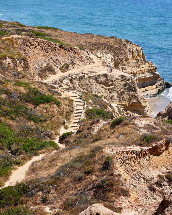 Torrey Pines Beach Trail Fine Art Photography Print, Stairs From Yucca Point, In San Diego California, Art For Gratitude