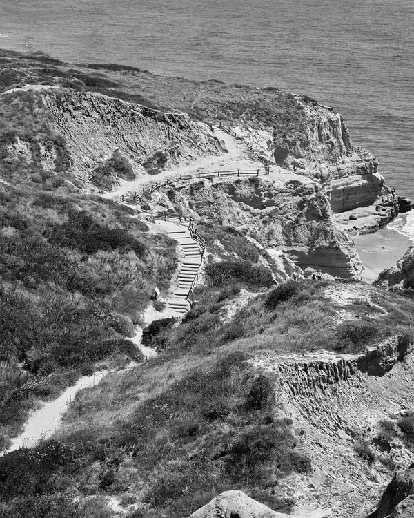 Torrey Pines Beach Trail Black And White Fine Art Photography Print, Stairs From Yucca Point, In San Diego California, Art For Gratitude
