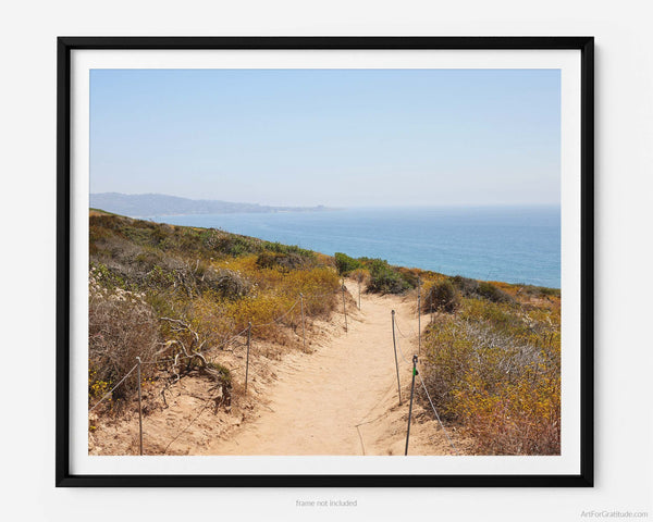 The Beach Trail At Torrey Pines State Park, Fine Art Photography Print, In San Diego California, Art For Gratitude