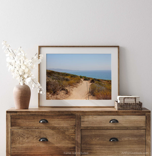 The Beach Trail At Torrey Pines State Park, Fine Art Photography Print, In San Diego California, Art For Gratitude