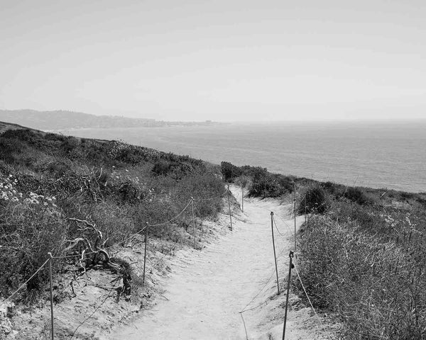 The Beach Trail At Torrey Pines State Park, Black And White Fine Art Photography Print, In San Diego California, Art For Gratitude