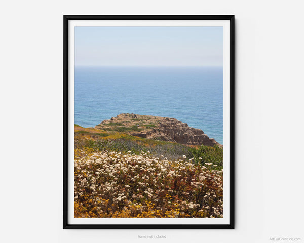 View Of Yucca Point On Torrey Pines Beach Trail, Fine Art Photography Print, In San Diego California