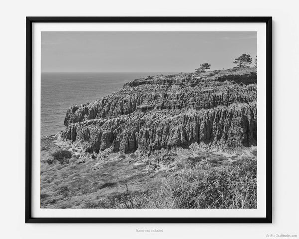 Razor Point, Torrey Pines Black And White Fine Art Photography Print, On Razor Point Trail, In San Diego California, Art For Gratitude