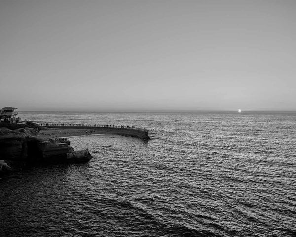 Children’s Pool La Jolla at Seal Rock