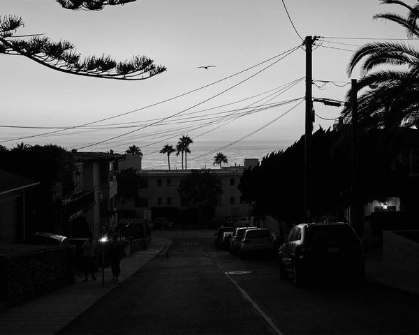 Coast Boulevard And Eads Avenue At Sunset, La Jolla Black And White Fine Art Photography Print, In San Diego California, Art For Gratitude