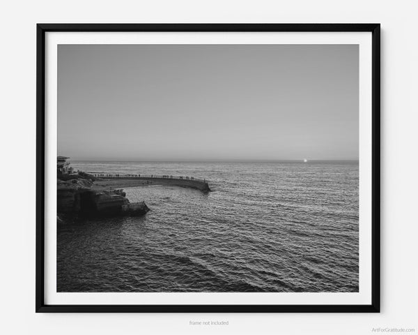 Children’s Pool La Jolla at Seal Rock