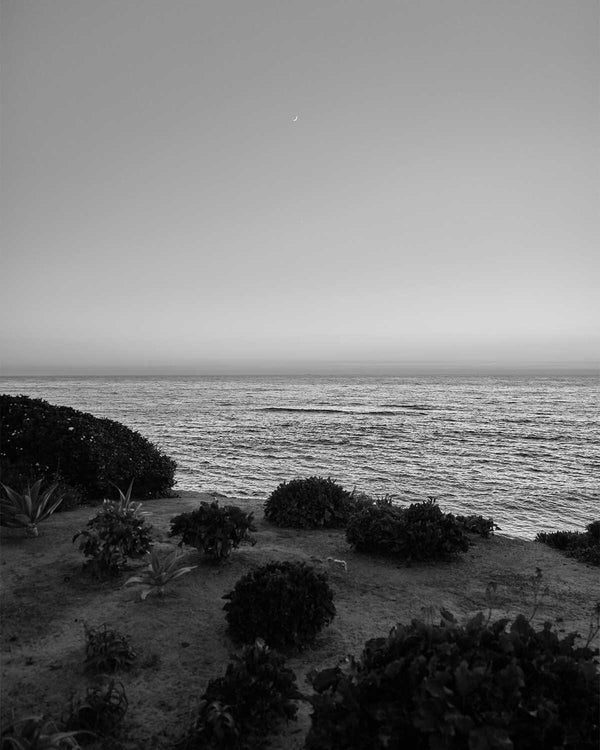 Sunset Near Seal Rock And Shell Beach, La Jolla Black And White Fine Art Photography Print, On Coast Boulevard, In San Diego California